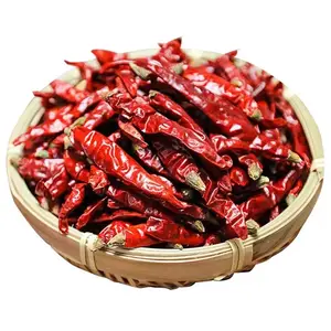 Piment rouge séché en gros Qingchun du fournisseur unique d'épices et d'herbes de l'usine Piment rouge séché