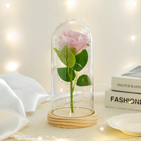 Rose rouge artificielle éternelle à LED dans un dôme en verre, cadeau romantique pour femmes avec boîte cadeau pour anniversaire, anniversaire de mariage, Saint-Valentin