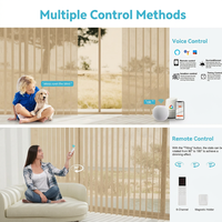Rideau voilage motorisé beige filtrant la lumière avec commande WiFi Google Alexa pour salon, livraison rapide