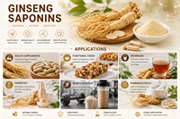 Extrait de Ginseng Rouge Chinois Premium en Poudre, Rapport d'Extrait 10:1/20:1, Certifié HPLC, Extraction par Eau, Qualité Alimentaire, Ginsénoside 20%