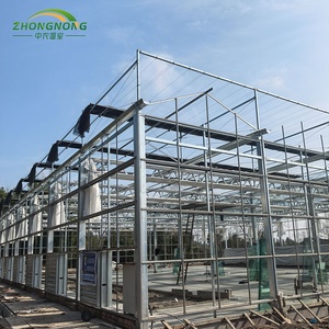 Low <strong>Cost</strong> Multi- Span Multi <strong>Tunnels</strong> Agricultural Green House Steel Frame Tropical PE Film Greenhouses Complete Set Plant Tomato - Product Image 3