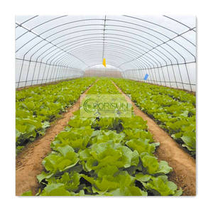 Miniature israël <span class=keywords><strong>pas</strong></span> <span class=keywords><strong>cher</strong></span> chine vente <span class=keywords><strong>en</strong></span> gros intérieur 2022 nouveauté bas prix petit tunnel de <span class=keywords><strong>verre</strong></span> <span class=keywords><strong>serre</strong></span> pour poulet - Product Image 4