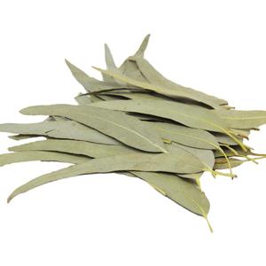 <span class=keywords><strong>Feuilles</strong></span> <span class=keywords><strong>d</strong></span>'<span class=keywords><strong>eucalyptus</strong></span> entières séchées, coupées et tamisées naturellement, thé en vrac <span class=keywords><strong>d</strong></span>'<span class=keywords><strong>eucalyptus</strong></span>, thé aux <span class=keywords><strong>feuilles</strong></span> <span class=keywords><strong>d</strong></span>'<span class=keywords><strong>eucalyptus</strong></span>, <span class=keywords><strong>eucalyptus</strong></span> - Product Image 3