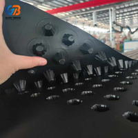 Planche de drainage moderne en plastique HDPE durable, imperméable, à surface texturée pour tunnels, sous-sols, fondations, jardins, barrages