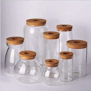 Décoration de maison moderne, mini pot de fleurs hydroponique, pot de plantes sans terre en PVC transparent avec vase en verre, plantes rondes vertes, jardin, pièce - Product Image 5