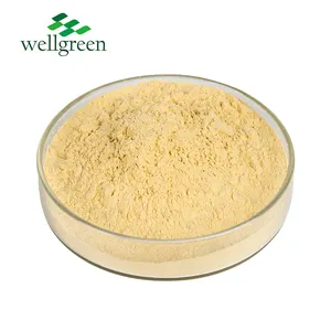 Chinese Gingerol Organische Wortelvloeistof 6-gingerololie Witte 5% Gemberextract