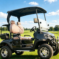 Voiturette de golf à essence 2 places, peinture métallisée couleur personnalisée, marque privée, vente en gros pour parcours de golf