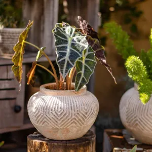 Macetas de cactus suculentas personalizadas, decoración de balcón, minimacetas de flores de cemento y jardineras