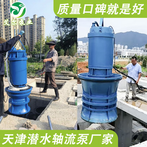 <b>Submersible</b> Mixed Flow <b>Pump</b> For Irrigation And Water Transfer Energy Saving Design - Product Image 2