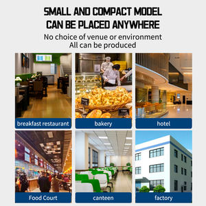 مقلاة بيض تجارية للمطاعم آلة قلي البيض الأوتوماتيكية بالكامل بتحكم رقمي 220 فولت/110 فولت/380 فولت - Product Image 4