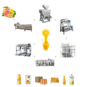 Machine de fabrication personnalisée de presse-agrumes frais Orange Citron Tangerine Extracteur de jus de pamplemousse Ligne de production - Product Image 2