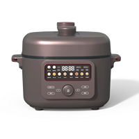 Cuisinière à pression programmable multi-usages 1300W, capacité 4L, cuve intérieure antiadhésive, économe en énergie, OEM/ODM