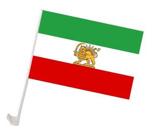 Custom 100% Polyester Car Flags 12*18 Inches Regular Poles Fast Delivery