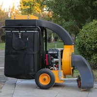 Professional High Quality Road Cleaning Mini Street Sweeper Gasoline Leaf Suction Machine with CE Approval