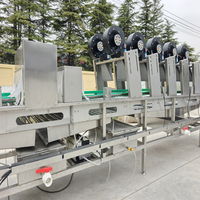 Fruitgroente Oranje Citroen Aardbei Druif Cherry Tomaat Mango Pulp Verwerkingsmachine