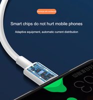Haute qualité 66W type-c USB 6A câble de Charge rapide TPE gainé chargeur de données de charge rapide pour smartPhone