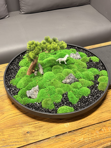 Taille libre <span class=keywords><strong>Mousse</strong></span> <span class=keywords><strong>Et</strong></span> <span class=keywords><strong>Lichen</strong></span> <span class=keywords><strong>Mousse</strong></span> Naturelle Art Décoration Conservée Stabilisée <span class=keywords><strong>Mousse</strong></span> Pot De Fleurs Modèle Maison Table Ornements - Product Image 2