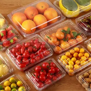 Disposable PET Blister Fruit Container Box Clear Plastic Clamshell Packaging For Tomatoes Grapes Strawberries For Salads Foods