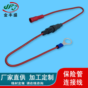 JFS SM2.54 Terminal Wire 2-Core Pure Copper Lug Terminals Battery Connection Wire Custom Length - Product Image 4