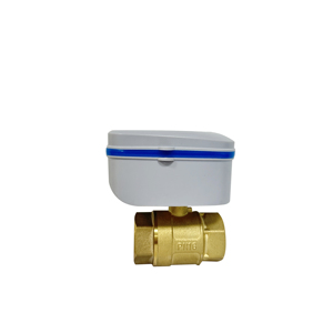 Navarch Lorawan Smart valvola di controllo bassa batteria allarme valvola a sfera manutenzione automatica <span class=keywords><strong>2</strong></span> vie valvola per giardino - Product Image 4