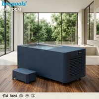 Baignoire Spa Rectangulaire en Acier Inoxydable Écologique Bropool – Design Moderne, Portable Intérieur/Extérieur, Installation Facile pour Hôtels, Villas, Salles de Sport