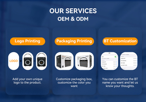 TWS Cho 5.3 Loa Mic 20000MAh Điện Bao Vây Bằng Gỗ 10-Giờ Tuổi thọ Pin USB AUX IPX4 Không Thấm Nước 6.5 "Woofer Máy Tính - Product Image 4