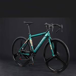 OEM bicicleta de carretera profesional 700C bicicleta con freno de disco R10 RS 21 velocidad horquilla de acero venta a precio barato - Product Image 6