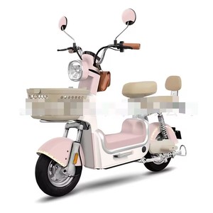 Vélo électrique pliable super léger pour les trajets en ville, la métro et les trajets domicile-travail - Product Image 6