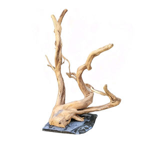 حوض أسماك الزينة ، حوض أسماك جذر الرودودندرون الطبيعي ، حوض أسماك ، خشب طبيعي ، خشب عنكبوت بحجر - Product Image 1