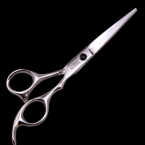 <span class=keywords><strong>Ciseaux</strong></span> de coiffure personnalisés avec logo, pour couper, effiler et faire des franges, argent, pour les étudiants en coiffure - Product Image 3