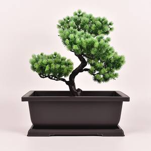 Pot à bonsaï rectangle pour arbre, pièces de 45cm, pour planteur de fleurs succulent, pour arbre - Product Image 4