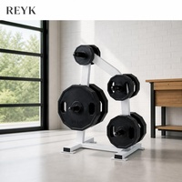 Support de rangement commercial en acier robuste pour plaques de poids et barres d'haltères, accessoires de fitness