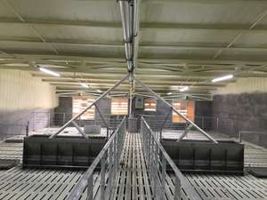 חזיר ציוד פלדה חזיר לפטם דוכן - Product Image 4