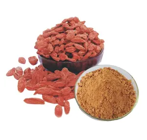 Fabrikant Wolfberry Poeder Gedroogde 100G Producten Uit Thailand Kruiden Natuurlijke Zakken Verpakking Biologische Plant Extract