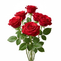 TW Rose PDRN 1000ppm, matière première liquide de qualité cosmétique d'origine végétale, extrait de rose, ADN de sodium, rose de Damas artificielle