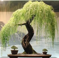 JUSTOYOU Großes Set 20 Künstliche Seidenrosen Realistischer Kunstblumenstrauß für Zuhause Büro Partys Hochzeiten Gartenarrangements China