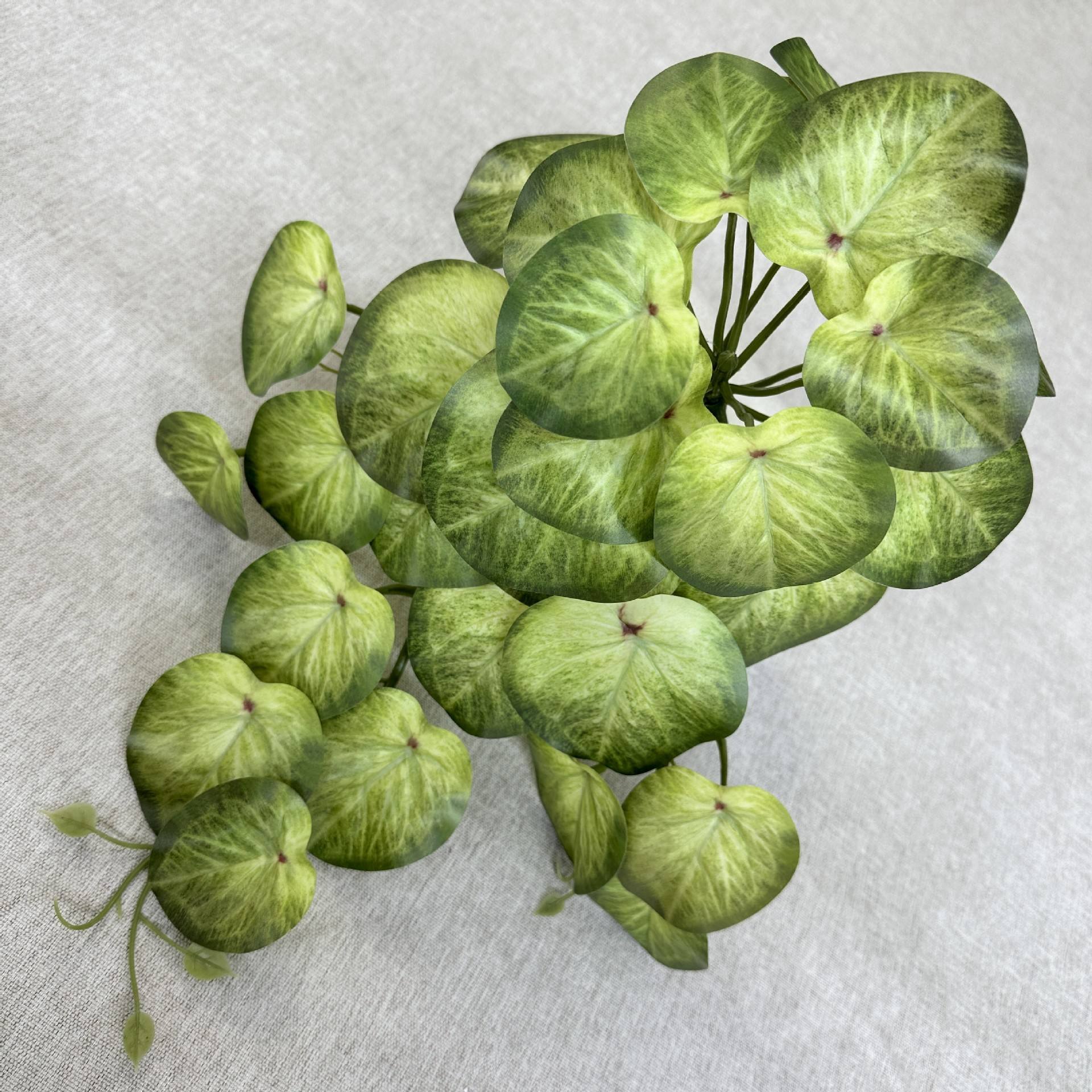 Feuille d'objectif vert