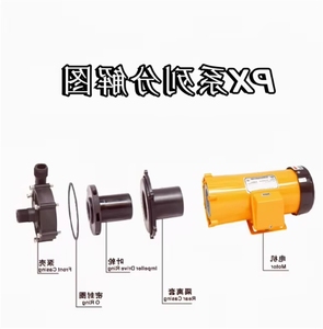 NH-403PW-P-RV 10PX 30 40 50 -Z 100 PAN WORLD PUMP Pompe magnétique - Product Image 4