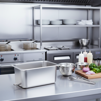 Accessoires pour friteuse de restaurant 20L, friteuse commerciale électrique en acier inoxydable avec réservoir d'huile et sortie