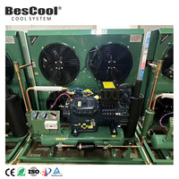 Système de refroidissement Bescool unité de condensation refroidisseur pièces de réfrigération pour le stockage en chambre froide