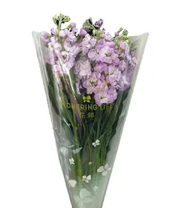 Пустые прозрачные пластиковые свежий цветок рукава букет упаковочная рукава