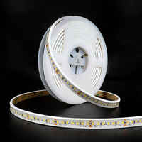 Lampe de culture LED SMD à spectre complet personnalisable 120 LED/m 24V 28,8W/m IP68 avec télécommande et variateur d'intensité pour l'éclairage de croissance des plantes d'intérieur