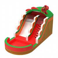 Toboggan aquatique gonflable commercial de 30 pieds avec piscine, thème oiseaux de dessin animé, double piste, vente en gros directe usine pour entreprises de location de matériel événementiel