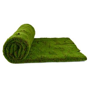 Tapis <span class=keywords><strong>de</strong></span> mousse artificielle <span class=keywords><strong>de</strong></span> plante miniature d'effet <span class=keywords><strong>de</strong></span> sol <span class=keywords><strong>de</strong></span> fente pour la décoration <span class=keywords><strong>de</strong></span> paysage - Product Image 5