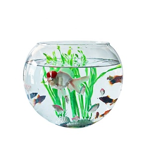 クリアラージラウンドガラスタンクフィッシュボウル水族館 - Product Image 1
