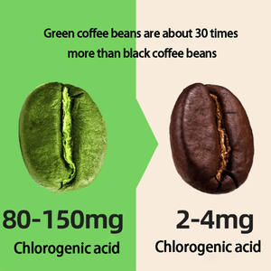 Yerba <span class=keywords><strong>Mate</strong></span> Bebida en polvo Grano de café verde Té adelgazante Suministros de espresso Daynee Detox Slim Burn Tummy Café instantáneo - Product Image 3