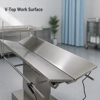 Table d'opération vétérinaire électrique en acier inoxydable 304 en forme de V, table chirurgicale pour animaux de compagnie avec contrôle de la température pour clinique vétérinaire