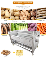 Rouleau brosse multifonction pour légumes industriels Équipement de lavage électrique Laveuse de manioc et de gingembre Machine à éplucher les pommes de terre