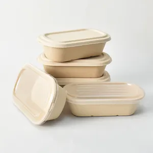 Gratis Monster Voedsel Container Biologisch Afbreekbaar Bagasse Pulp Kartonnen Doos Verpakking Afhalen Bento Lunchbox