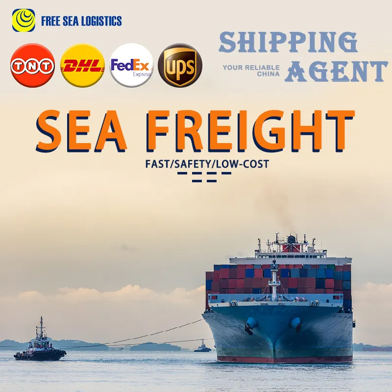 Agen Pengiriman Forwarder Biaya Rendah Ke India Melalui Kontainer Laut/Lcl/Fcl Freight Forwarder Layanan Logistik